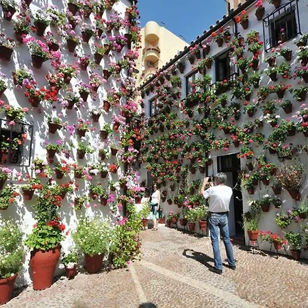 Apartment Centrum Con Parking *